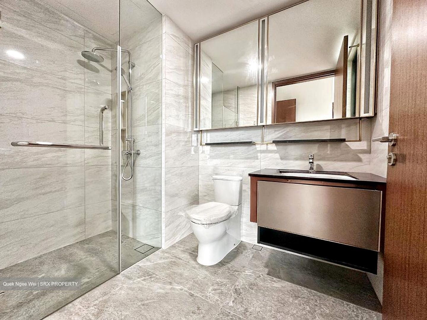 Normanton Park (D5), Apartment #520126841
